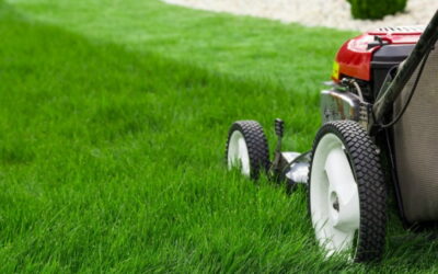 Best Lawn Mowing Tips To Improve Your Summit County Lawn & Landscape