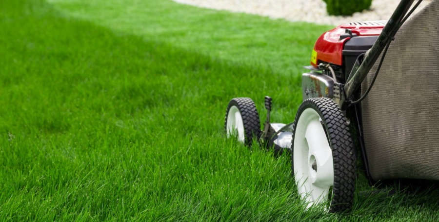 Best Lawn Mowing Tips To Improve Your Summit County Lawn & Landscape